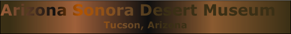 Arizona Sonora Desert Museum
Tucson, Arizona
